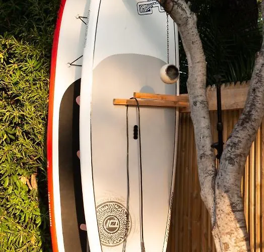 Beija Flor Bed and breakfast Saint-Raphaël